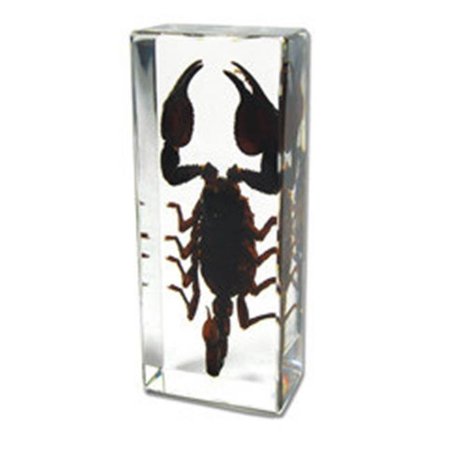 ED SPELDY EAST ED SPELDY EAST PW305 Paperweight  Large  Black Scorpion PW305